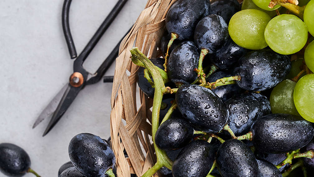 Abbildung von Weintrauben