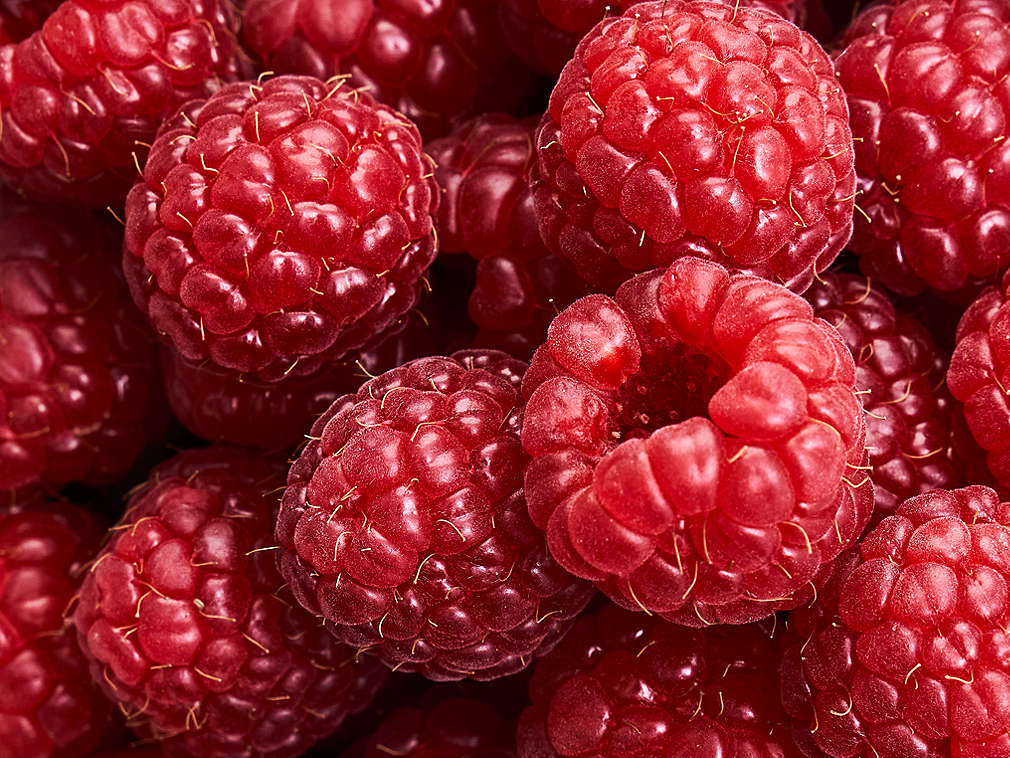 Detailný pohľad na čerstvé maliny