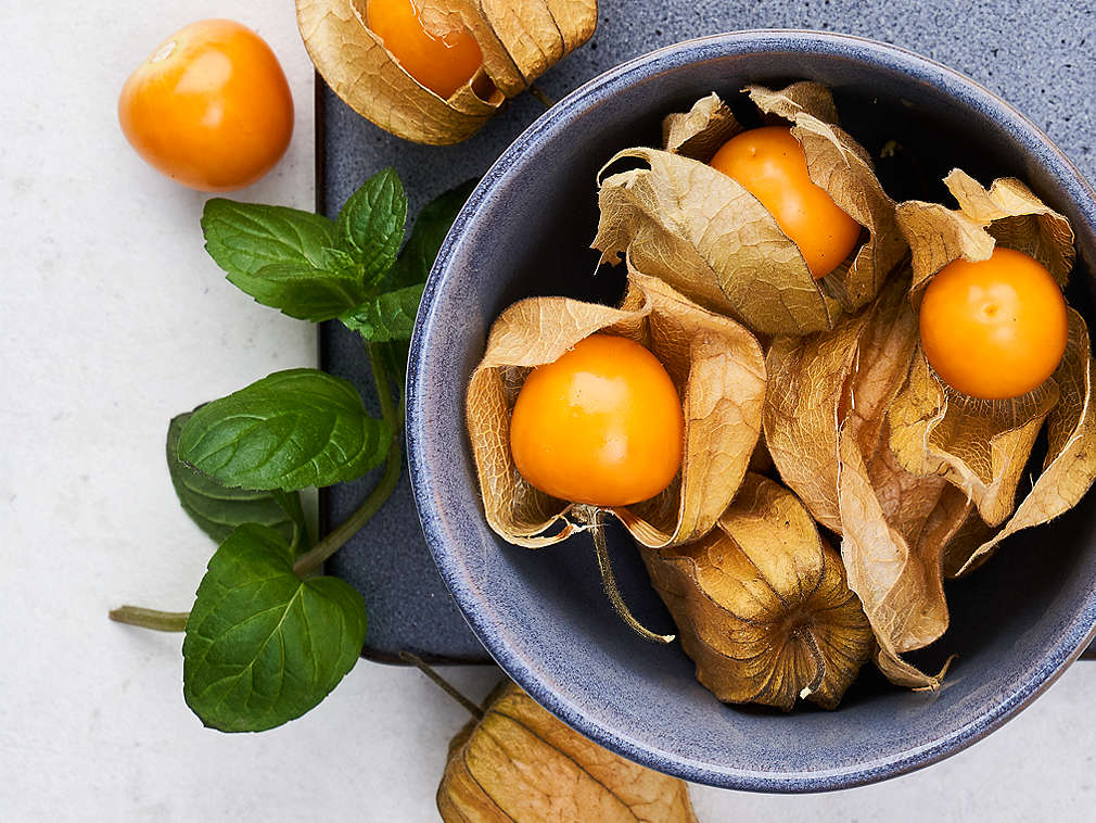 Пресен физалис в детайлен изглед