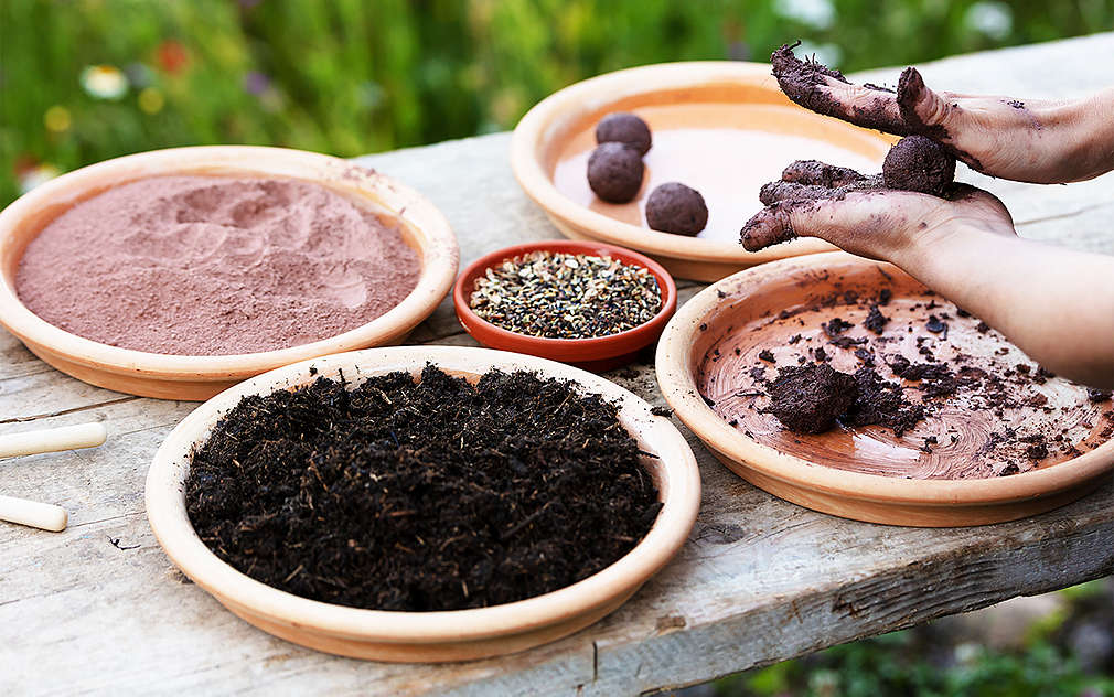 Dve detské ruky tvarujú malú semennú guľôčku, ktorej zložky sú položené na drevenej latke v niekoľkých hlinených črepníkoch.