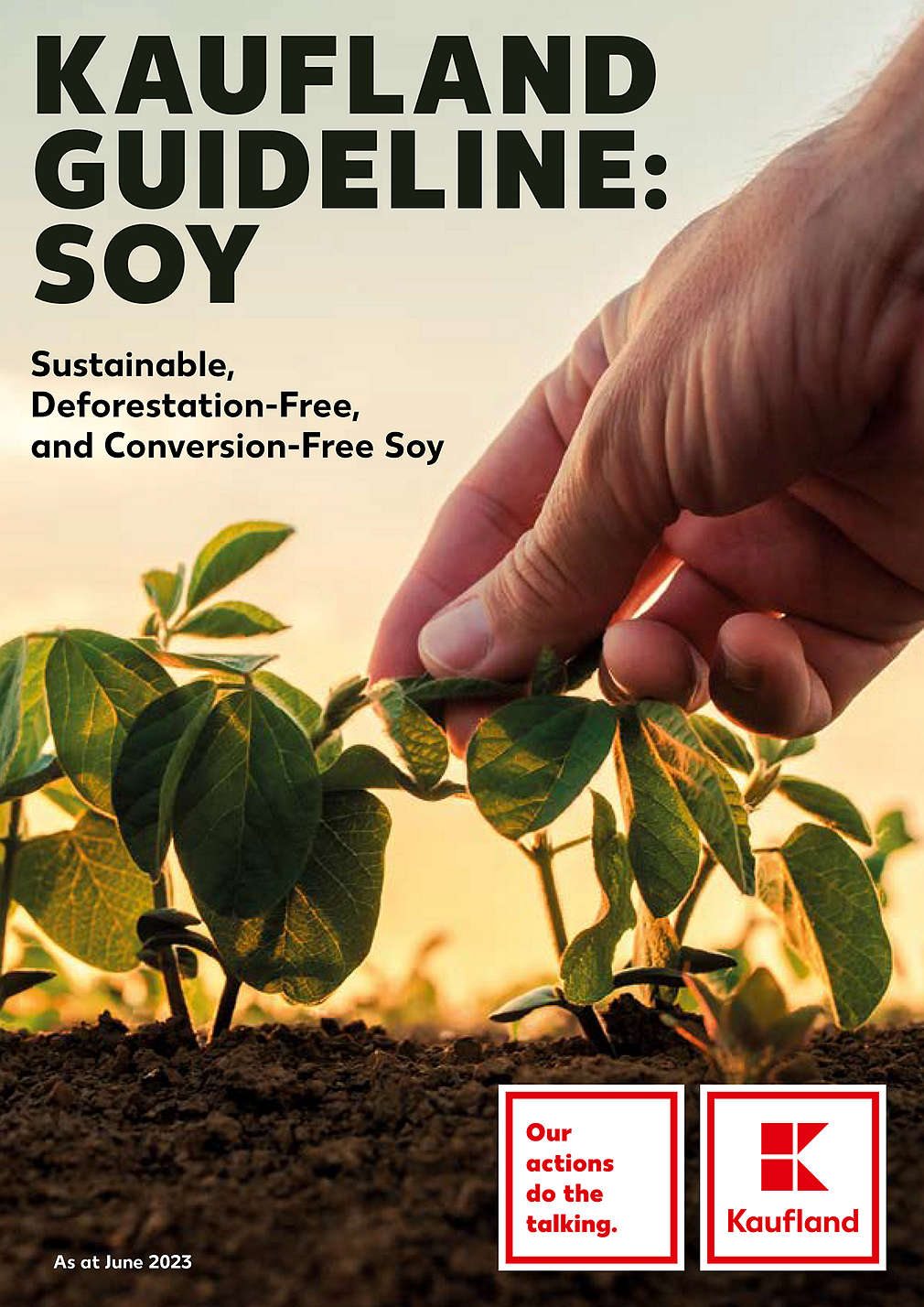 Soy Guidelines