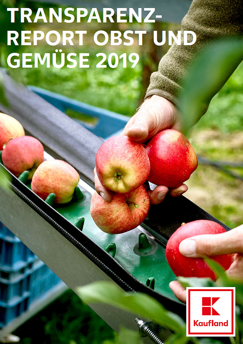 Our Strategy and Measures for Sustainable  F&V Supply Chains