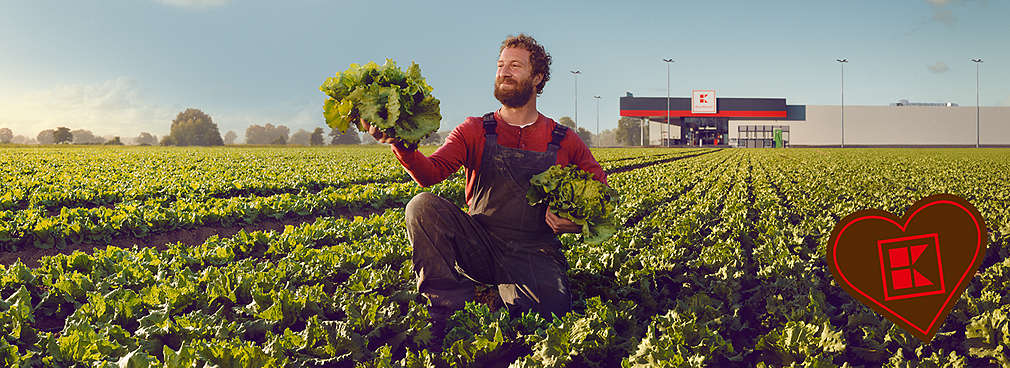 Landwirt erntet Salat; Logo: Regio-Herz