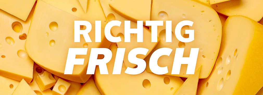 Abbildung: Käse; Schriftzug: Richtig frisch