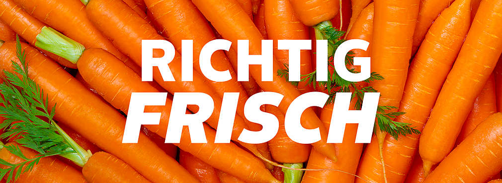 Abbildung: Karotten; Schriftzug: RICHTIG FRISCH