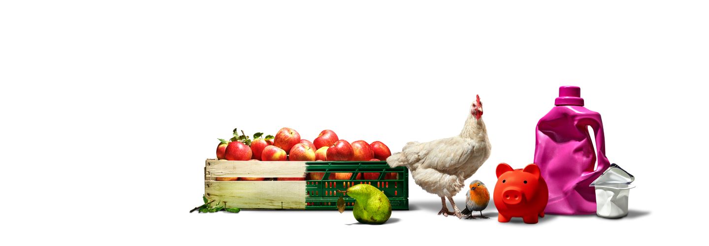 Grüner Hintergrund; Schriftzug: Kaufland für mehr Nachhaltigkeit.; Abbildung von: Apfelkiste aus Holz und Plastik, krumme Birne, Huhn, Rotkehlchen, rotes Sparschwein, pinke Plastikflasche und weißer Joghurt  