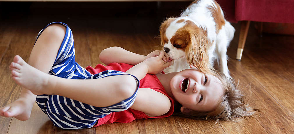 Kind spielt mit einem Hund