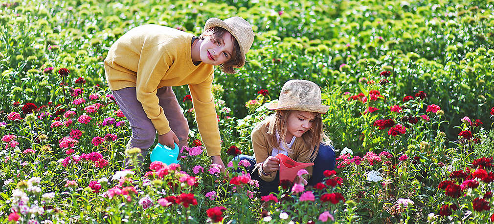 Zwei Kinder im Blumenbeet