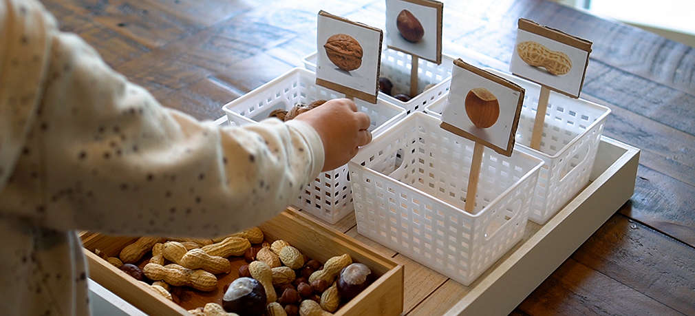 Kind sortiert auf einem Montessori-Lerntablett verschiedene Nüsse
