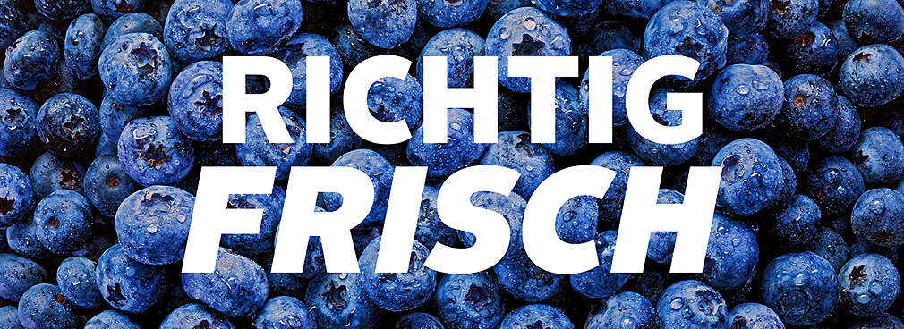 Abbildung: Blaubeeren; Schriftzug: RICHTIG FRISCH