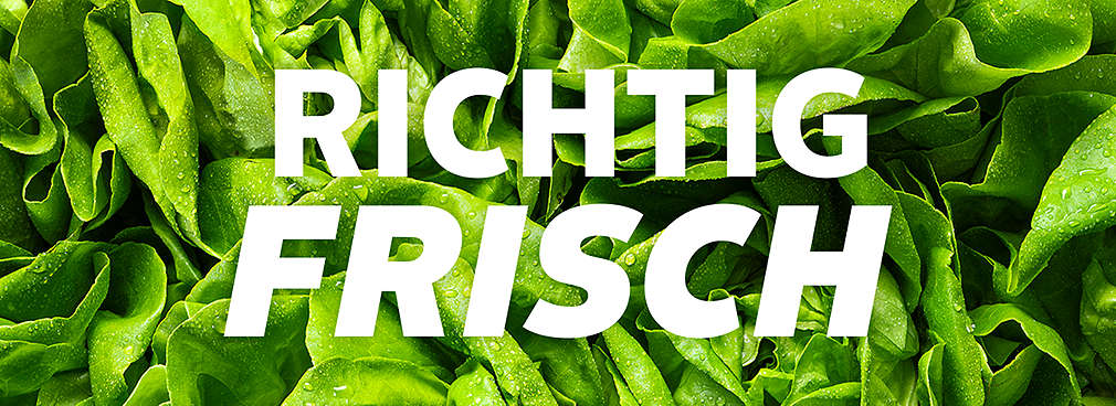 Abbildung: Salat; Schriftzug: RICHTIG FRISCH