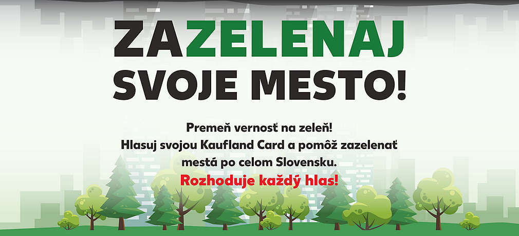 Hokejista nastupuje na ľad