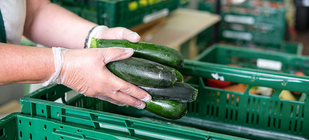 Person packt übriggebliebene Zucchini in eine grüne Kiste