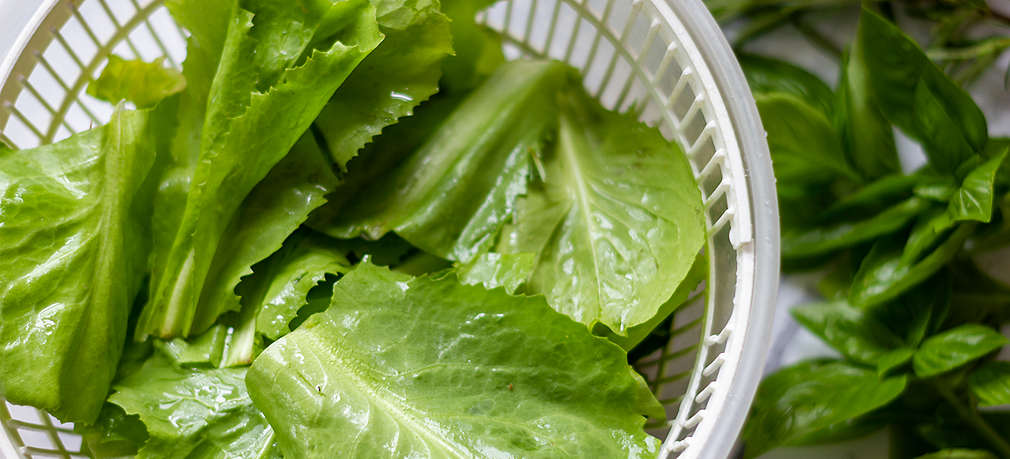 Frisch gewaschene Salatblätter liegen in einer Salatschleuder