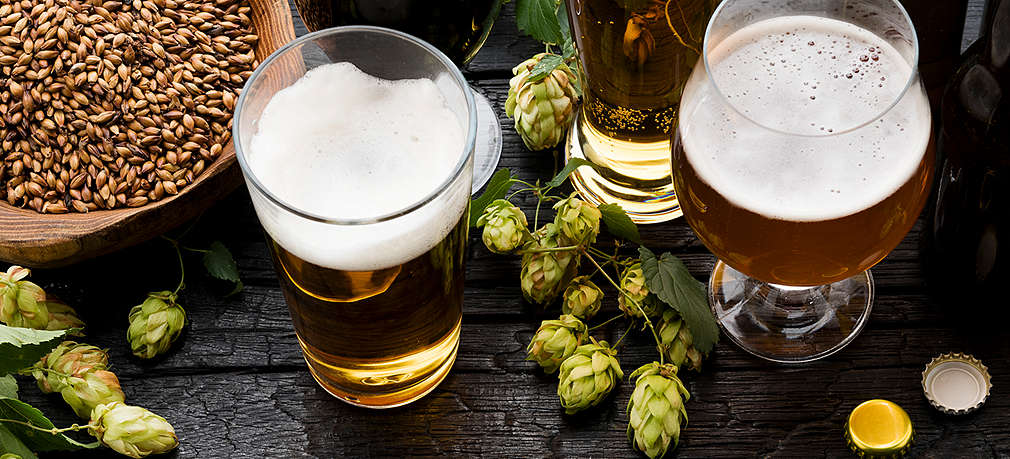 Mehrere Gläser Bier stehen auf einem Tisch, daneben frischer Hopfen, Gerste und Bierflaschenverschlüsse