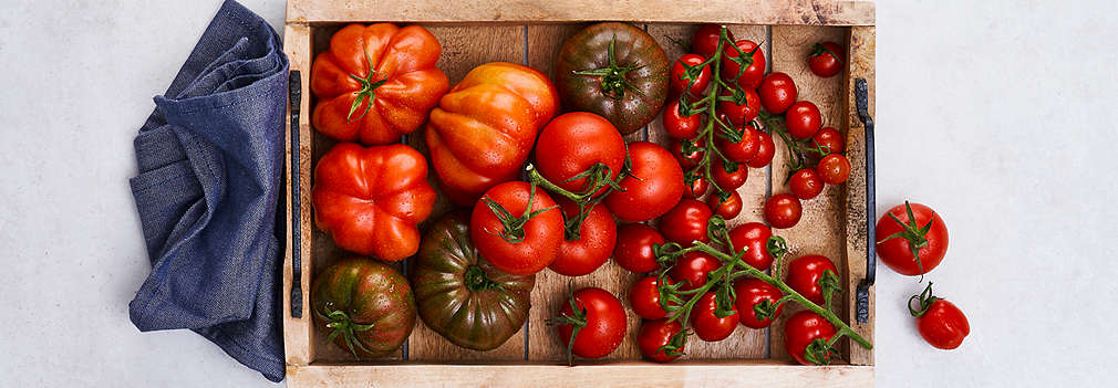 Tomaten in unterschiedlichen Größen und Sorten liegen in einem Servier-Tablett aus Holz