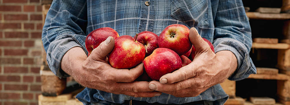 Bauer mit Äpfel