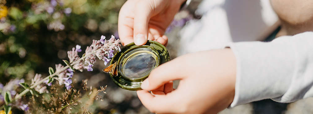 Kind hält Lupe, darauf ein Schmetterling