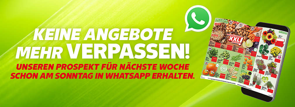 Kaufland Prospekt auf dem Smartphone; Logo: WhatsApp; Störer: JETZT NEU!