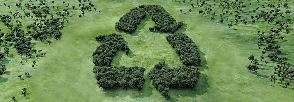 Изображение на дървета, заснети отгоре и подредени така, че да образуват логото за рециклиране