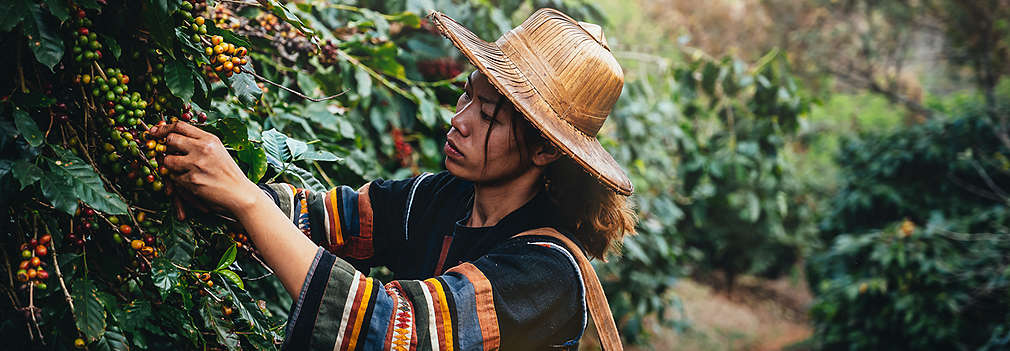 Responsabilitate de-a lungul lantului de aprovizionare