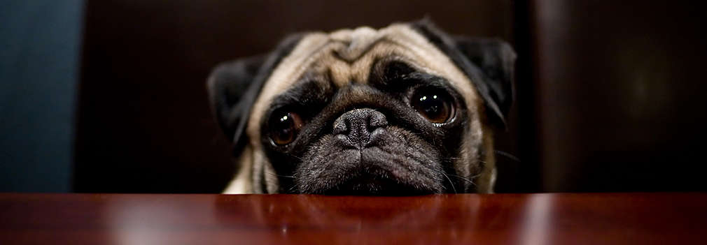 riechen, lebensmittel retten, lebensmittel prüfen