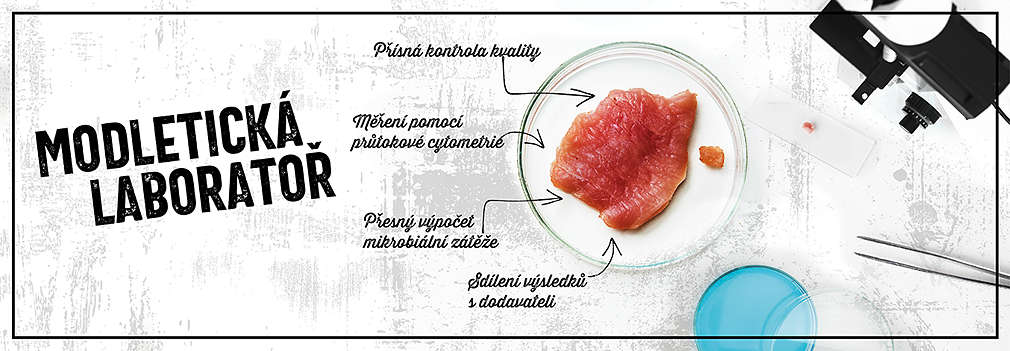 Modletická laboratoř