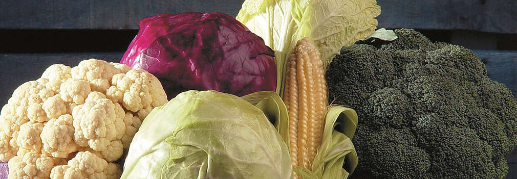 Изображение на щайга, пълна с различни сезонни зеленчуци - зеле, броколи, карфиол и др.