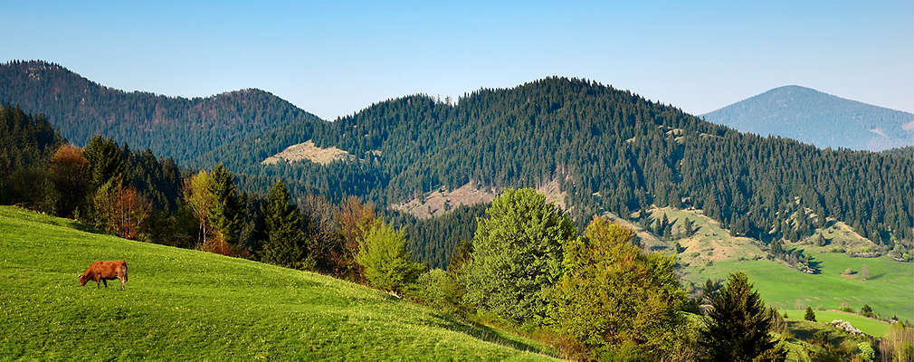 Fotografia slovenských lúk a hôr