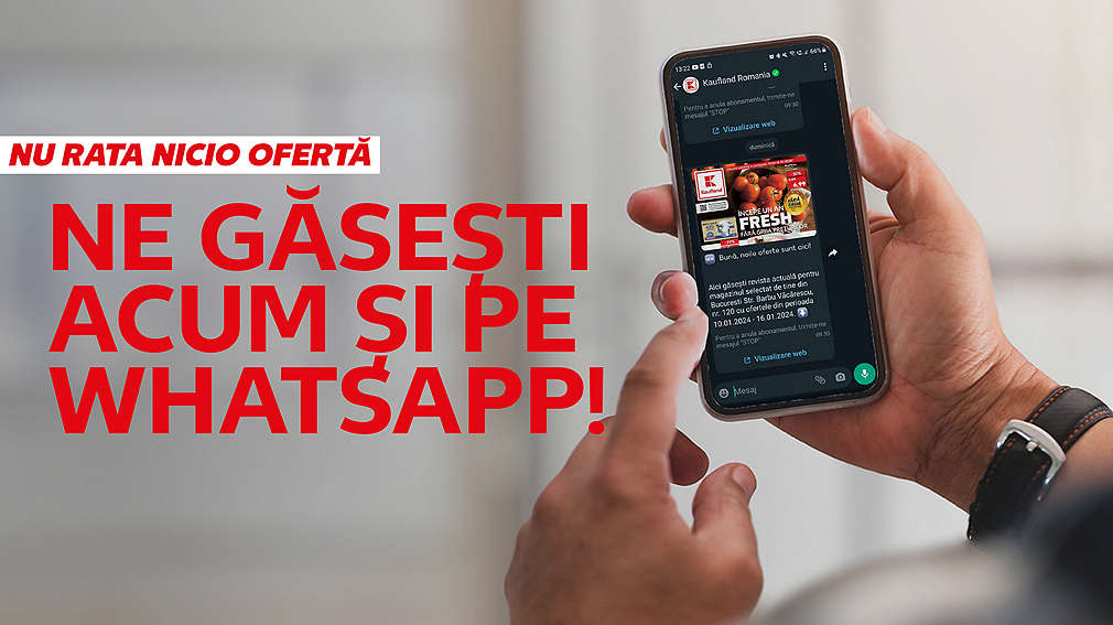 Person holds a cell phone in hand on which a Whatsapp history and the Kaufland flyer