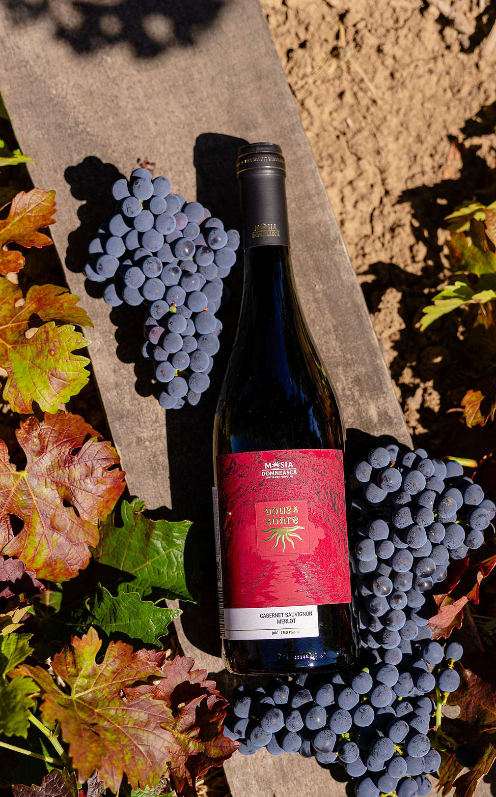 kaufland_1496x2400_vin_rosu_apus_De_soare - 1