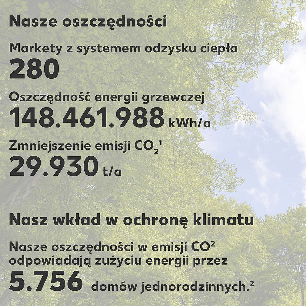Graficzne zestawienie efektów działalności kauflandu