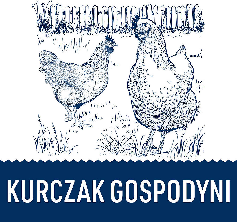 szkicowane kurczaki na tle płotka
