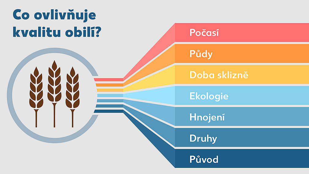 Graf s faktory, které ovlivňují kvalitu obilí.