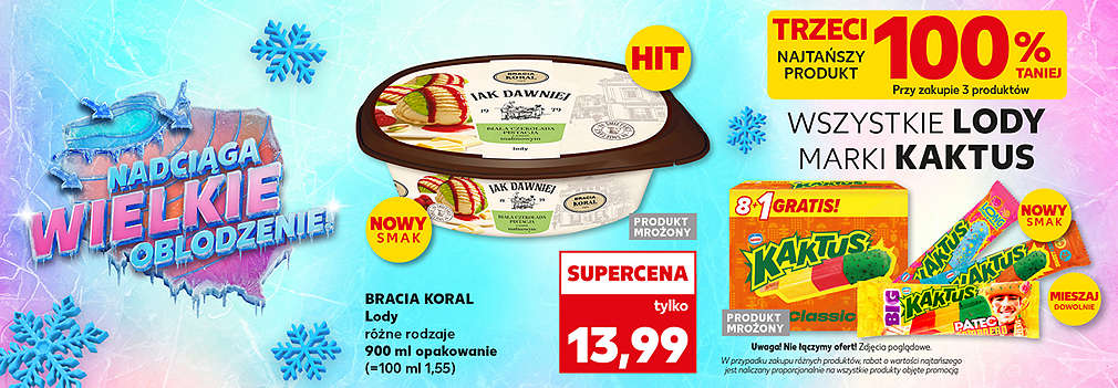 Lody Jak Dawniej i lody Kaktus