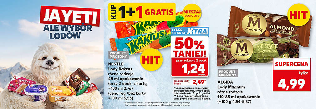 Lody Kaktus i Magnum