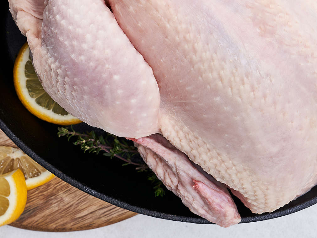 Świeża kura – szczegółowe informacje