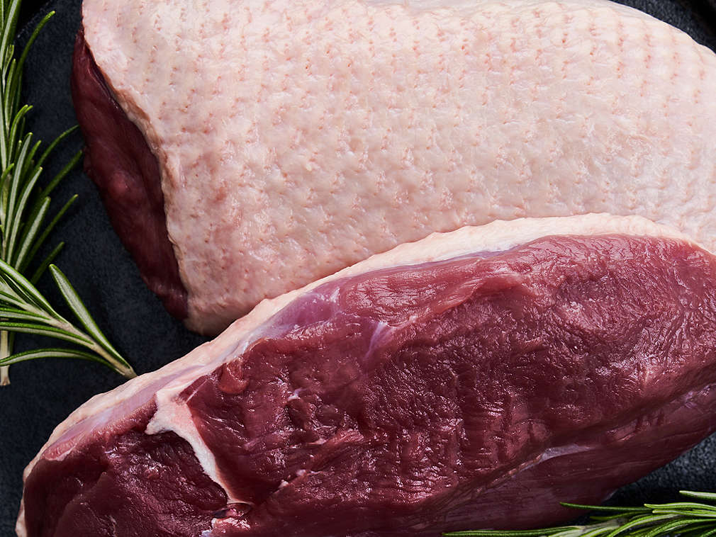 Frische Ente in der Detailansicht