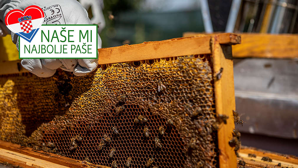 Naše mi najbolje paše - med