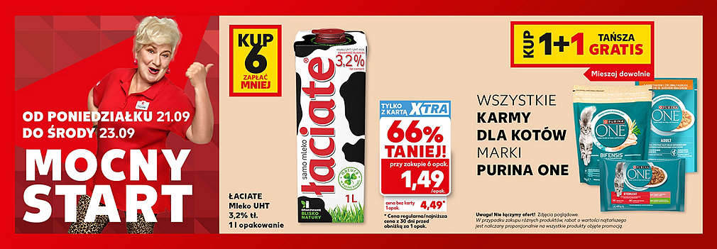mleko i karma dla kota