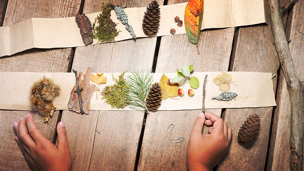 Поглед отвисоко към маса, на която две детски ръце подреждат различни природни предмети върху два листа хартия.