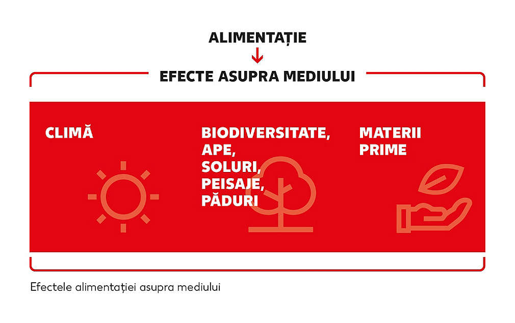 symbol-graphic-nutrition