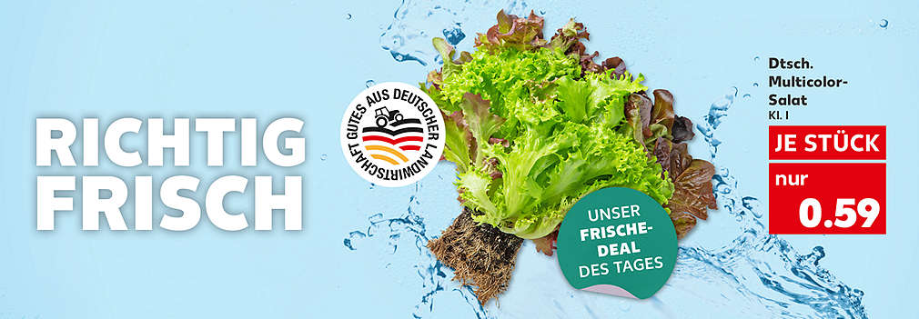 Produktabbildung: Dtsch. Multicolor-Salat, Kl.1, je Stück nur 0.59 Euro; Schriftzug: Richtig frisch; Störer: Unser Frische-Deal des Tages 