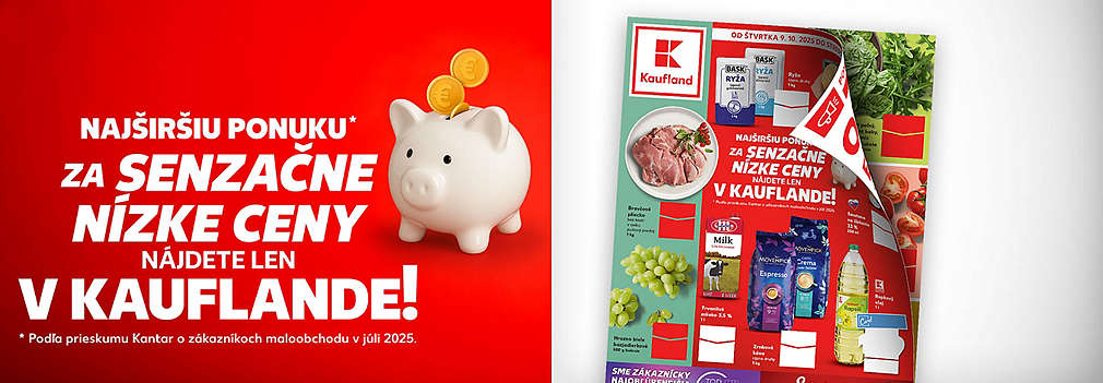 Fotografia letáku Kaufland 