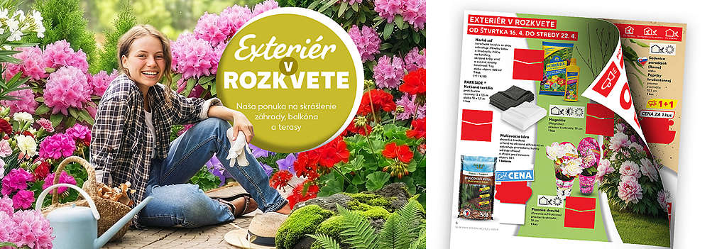 Skrášlite si svoje okolie! Prezrite si špeciálnu ponuku Kauflandu. Objavte široký výber kvetov, priesady paradajok a paprík v akcii 1+1 zadarmo a ďalšie tipy pre váš rozkvitnutý balkón či terasu.