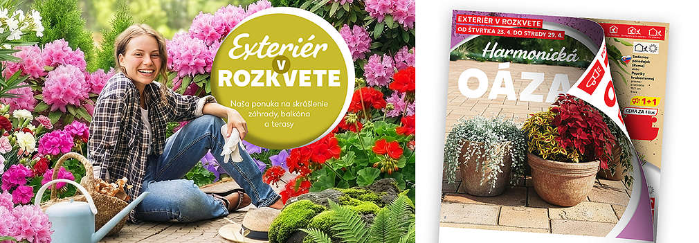 Skrášlite si svoje okolie! Prezrite si špeciálnu ponuku Kauflandu. Objavte široký výber kvetov, priesady paradajok a paprík v akcii 1+1 zadarmo a ďalšie tipy pre váš rozkvitnutý balkón či terasu.
