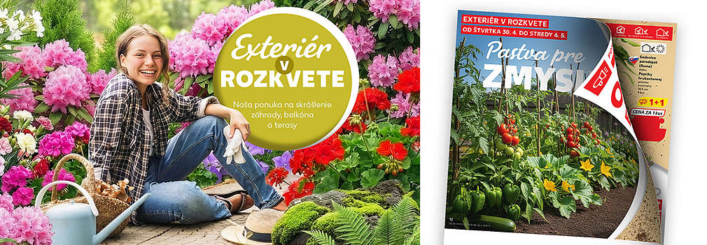 Skrášlite si svoje okolie! Prezrite si špeciálnu ponuku Kauflandu. Objavte široký výber kvetov, priesady paradajok a paprík v akcii 1+1 zadarmo a ďalšie tipy pre váš rozkvitnutý balkón či terasu.