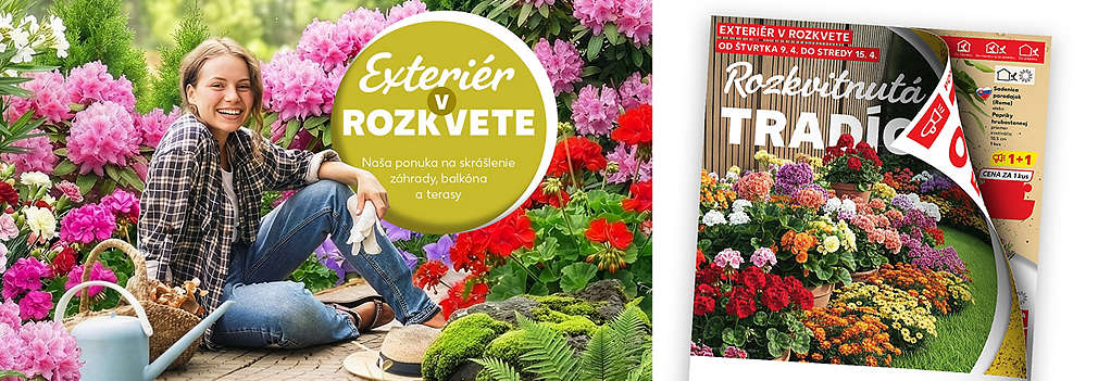Skrášlite si svoje okolie! Prezrite si špeciálnu ponuku Kauflandu. Objavte široký výber kvetov, priesady paradajok a paprík v akcii 1+1 zadarmo a ďalšie tipy pre váš rozkvitnutý balkón či terasu.