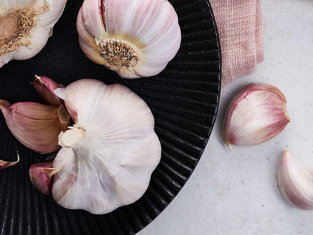 Frischer Knoblauch in der Detailansicht