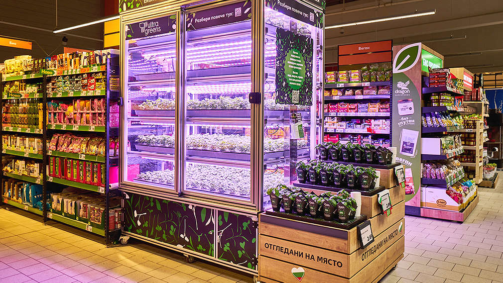 Изображение на микрооранжерия със свежи подправки